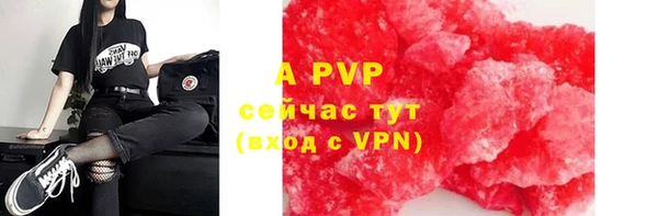 амф Артём