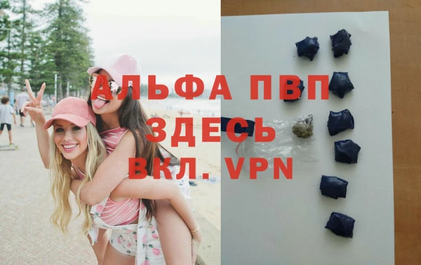 амф Артём