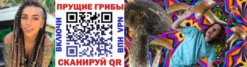 Псилоцибиновые грибы ЛСД  где купить наркоту  Ардатов 